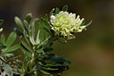 BUITEN BEELD Foto: 326676