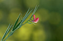 BUITEN BEELD Foto: 326689