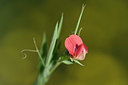 BUITEN BEELD Foto: 326692