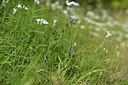 BUITEN BEELD Foto: 326697
