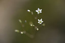 BUITEN BEELD Foto: 326699