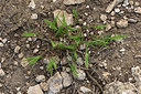 BUITEN BEELD Foto: 326702