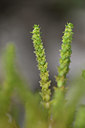 BUITEN BEELD Foto: 326709