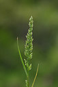 BUITEN BEELD Foto: 326710