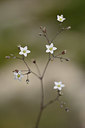BUITEN BEELD Foto: 326712