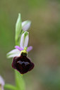 BUITEN BEELD Foto: 326723