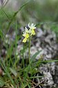 BUITEN BEELD Foto: 326729
