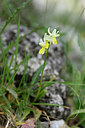 BUITEN BEELD Foto: 326731