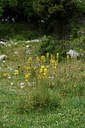 BUITEN BEELD Foto: 326770