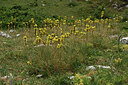 BUITEN BEELD Foto: 326771
