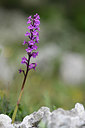 BUITEN BEELD Foto: 326787