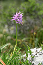 BUITEN BEELD Foto: 326790