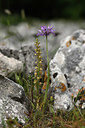 BUITEN BEELD Foto: 326793