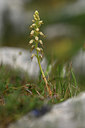 BUITEN BEELD Foto: 326794