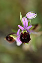 BUITEN BEELD Foto: 326797