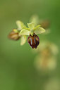 BUITEN BEELD Foto: 326800