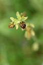 BUITEN BEELD Foto: 326801