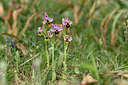 BUITEN BEELD Foto: 326806