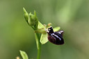 BUITEN BEELD Foto: 326820