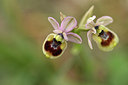 BUITEN BEELD Foto: 326826