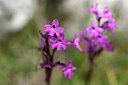 BUITEN BEELD Foto: 326852