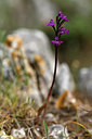 BUITEN BEELD Foto: 326857