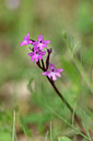 BUITEN BEELD Foto: 326860