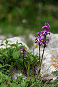 BUITEN BEELD Foto: 326863