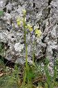 BUITEN BEELD Foto: 326873