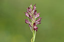 BUITEN BEELD Foto: 326901