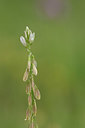 BUITEN BEELD Foto: 326906