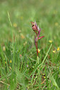 BUITEN BEELD Foto: 326911