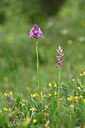 BUITEN BEELD Foto: 326916