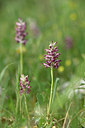 BUITEN BEELD Foto: 326923