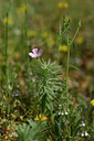 BUITEN BEELD Foto: 326932