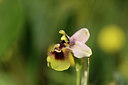 BUITEN BEELD Foto: 326937