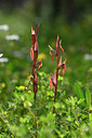 BUITEN BEELD Foto: 326940