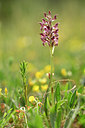BUITEN BEELD Foto: 326946