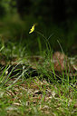 BUITEN BEELD Foto: 326947