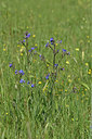 BUITEN BEELD Foto: 326950