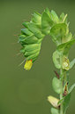 BUITEN BEELD Foto: 326952