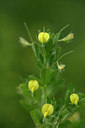 BUITEN BEELD Foto: 326959