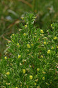 BUITEN BEELD Foto: 326961