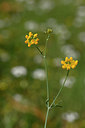 BUITEN BEELD Foto: 326965