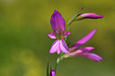 BUITEN BEELD Foto: 326968