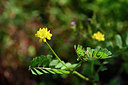BUITEN BEELD Foto: 326991