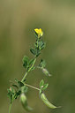 BUITEN BEELD Foto: 327032