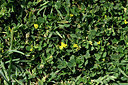 BUITEN BEELD Foto: 327033
