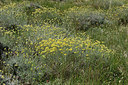 BUITEN BEELD Foto: 327035