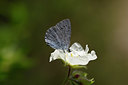 BUITEN BEELD Foto: 327088